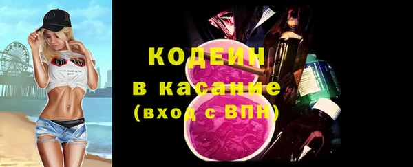 таблы Бородино