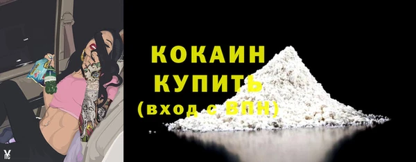таблы Бородино