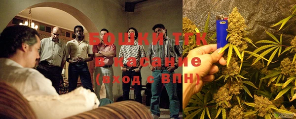 таблы Бородино