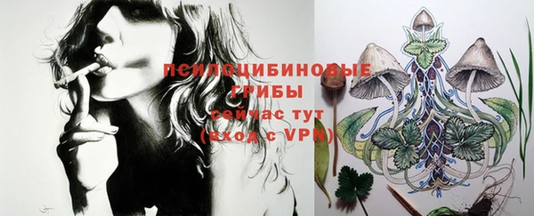 ешки Бугульма