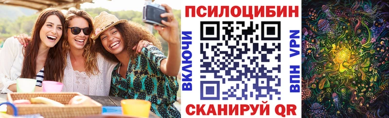 omg сайт  Киселёвск  Псилоцибиновые грибы мицелий  магазин  наркотиков 